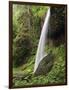 North Falls, Silver Falls State Park, Oregon, USA-Michel Hersen-Framed Photographic Print