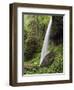 North Falls, Silver Falls State Park, Oregon, USA-Michel Hersen-Framed Photographic Print