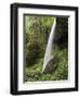 North Falls, Silver Falls State Park, Oregon, USA-Michel Hersen-Framed Photographic Print