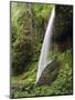 North Falls, Silver Falls State Park, Oregon, USA-Michel Hersen-Mounted Photographic Print