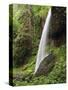 North Falls, Silver Falls State Park, Oregon, USA-Michel Hersen-Stretched Canvas