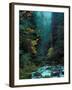 North Fork of Santiam River, Central Oregon Cascades, USA-Janis Miglavs-Framed Premium Photographic Print