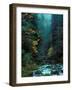 North Fork of Santiam River, Central Oregon Cascades, USA-Janis Miglavs-Framed Photographic Print