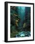 North Fork of Santiam River, Central Oregon Cascades, USA-Janis Miglavs-Framed Photographic Print