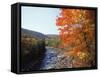 North Fork of the Potomac River, Potomac State Forest, Maryland, USA-Adam Jones-Framed Stretched Canvas