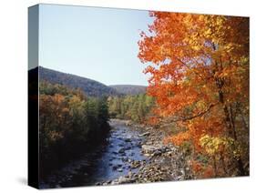 North Fork of the Potomac River, Potomac State Forest, Maryland, USA-Adam Jones-Stretched Canvas
