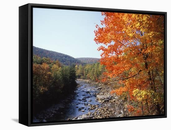 North Fork of the Potomac River, Potomac State Forest, Maryland, USA-Adam Jones-Framed Stretched Canvas