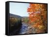 North Fork of the Potomac River, Potomac State Forest, Maryland, USA-Adam Jones-Framed Stretched Canvas