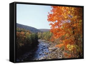 North Fork of the Potomac River, Potomac State Forest, Maryland, USA-Adam Jones-Framed Stretched Canvas