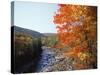 North Fork of the Potomac River, Potomac State Forest, Maryland, USA-Adam Jones-Stretched Canvas