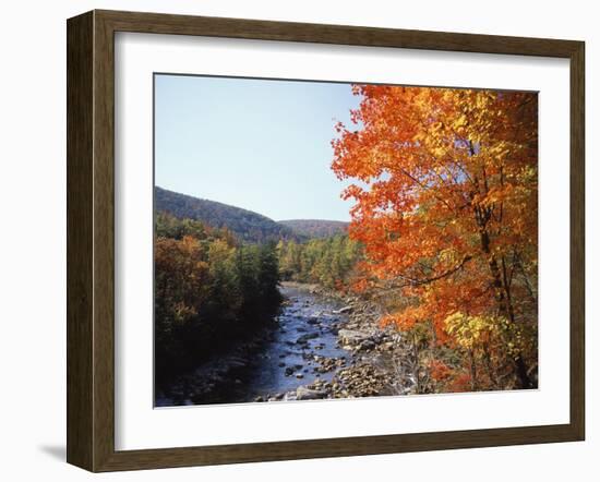 North Fork of the Potomac River, Potomac State Forest, Maryland, USA-Adam Jones-Framed Premium Photographic Print