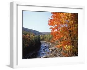 North Fork of the Potomac River, Potomac State Forest, Maryland, USA-Adam Jones-Framed Premium Photographic Print