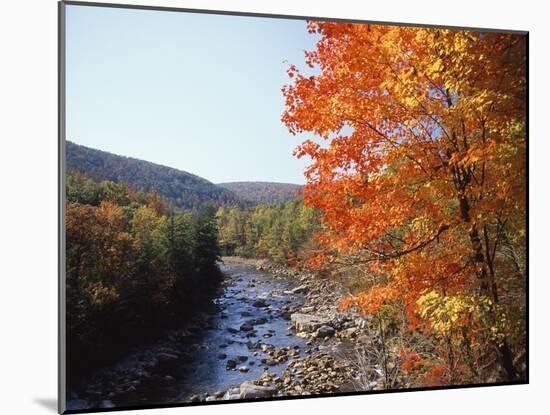 North Fork of the Potomac River, Potomac State Forest, Maryland, USA-Adam Jones-Mounted Premium Photographic Print
