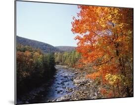 North Fork of the Potomac River, Potomac State Forest, Maryland, USA-Adam Jones-Mounted Premium Photographic Print