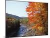 North Fork of the Potomac River, Potomac State Forest, Maryland, USA-Adam Jones-Mounted Photographic Print