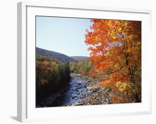 North Fork of the Potomac River, Potomac State Forest, Maryland, USA-Adam Jones-Framed Photographic Print