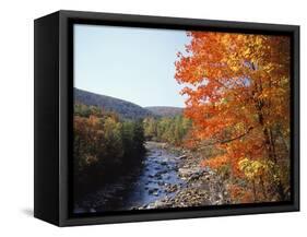 North Fork of the Potomac River, Potomac State Forest, Maryland, USA-Adam Jones-Framed Stretched Canvas