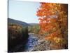 North Fork of the Potomac River, Potomac State Forest, Maryland, USA-Adam Jones-Stretched Canvas