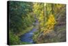 North Fork Silver Creek, Silver Falls State Park, Oregon, USA-Jamie & Judy Wild-Stretched Canvas