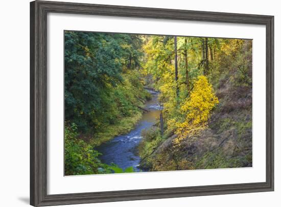 North Fork Silver Creek, Silver Falls State Park, Oregon, USA-Jamie & Judy Wild-Framed Photographic Print