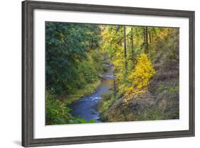 North Fork Silver Creek, Silver Falls State Park, Oregon, USA-Jamie & Judy Wild-Framed Photographic Print