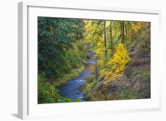 North Fork Silver Creek, Silver Falls State Park, Oregon, USA-Jamie & Judy Wild-Framed Photographic Print