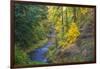 North Fork Silver Creek, Silver Falls State Park, Oregon, USA-Jamie & Judy Wild-Framed Photographic Print