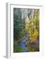 North Fork Silver Creek, Silver Falls State Park, Oregon, USA-Jamie & Judy Wild-Framed Photographic Print