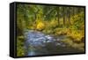 North Fork Silver Creek, Silver Falls State Park, Oregon, USA-Jamie & Judy Wild-Framed Stretched Canvas