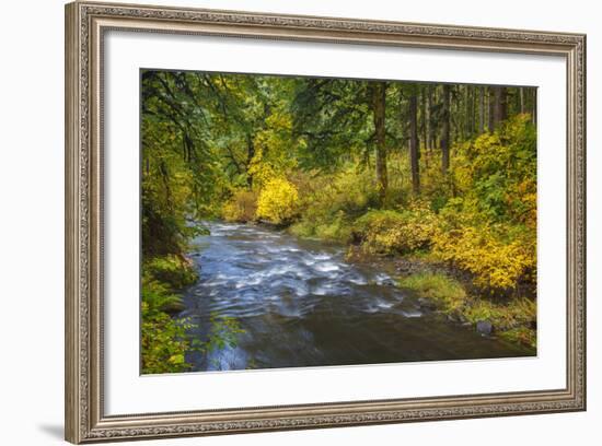 North Fork Silver Creek, Silver Falls State Park, Oregon, USA-Jamie & Judy Wild-Framed Photographic Print