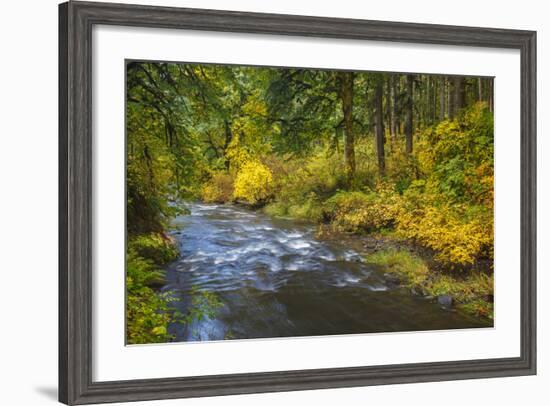 North Fork Silver Creek, Silver Falls State Park, Oregon, USA-Jamie & Judy Wild-Framed Photographic Print