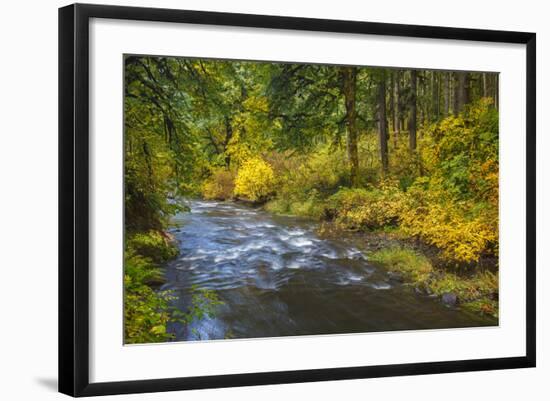 North Fork Silver Creek, Silver Falls State Park, Oregon, USA-Jamie & Judy Wild-Framed Photographic Print