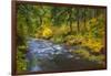 North Fork Silver Creek, Silver Falls State Park, Oregon, USA-Jamie & Judy Wild-Framed Photographic Print