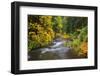 North Fork Silver Creek, Silver Falls State Park, Oregon, USA-Jamie & Judy Wild-Framed Photographic Print