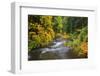 North Fork Silver Creek, Silver Falls State Park, Oregon, USA-Jamie & Judy Wild-Framed Photographic Print