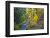 North Fork Silver Creek, Silver Falls State Park, Oregon, USA-Jamie & Judy Wild-Framed Photographic Print