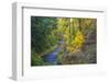 North Fork Silver Creek, Silver Falls State Park, Oregon, USA-Jamie & Judy Wild-Framed Photographic Print