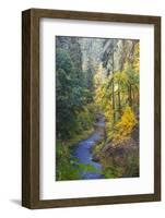 North Fork Silver Creek, Silver Falls State Park, Oregon, USA-Jamie & Judy Wild-Framed Photographic Print