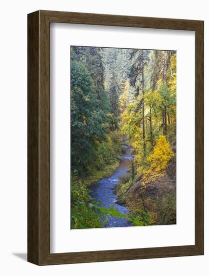 North Fork Silver Creek, Silver Falls State Park, Oregon, USA-Jamie & Judy Wild-Framed Photographic Print