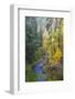 North Fork Silver Creek, Silver Falls State Park, Oregon, USA-Jamie & Judy Wild-Framed Photographic Print