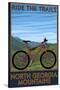 North Georgia Mountains - Mountain Bike Scene - Ride the Trails-Lantern Press-Stretched Canvas