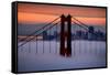 North Golden Gate Tower and Transamerica Pyramid at Dawn, San Francisco-Vincent James-Framed Stretched Canvas
