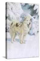 North Greenland Eskimo Dog-null-Stretched Canvas