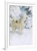 North Greenland Eskimo Dog-null-Framed Art Print