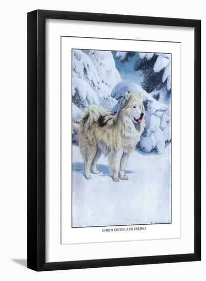 North Greenland Eskimo-Louis Agassiz Fuertes-Framed Art Print