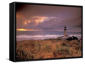 North Head Lighthouse at Sunset, Fort Canby State Park, Washington, USA-Brent Bergherm-Framed Stretched Canvas