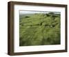 North Kohola Area-Karen Kasmauski-Framed Photographic Print