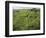 North Kohola Area-Karen Kasmauski-Framed Photographic Print