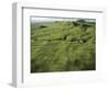 North Kohola Area-Karen Kasmauski-Framed Photographic Print