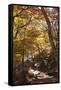 North Korea, Kumgang. Kumgang Mountains in Autumn.-Katie Garrod-Framed Stretched Canvas